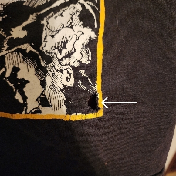 Woods of Desolation Metal Band Short Sleeve Tee Size L (read description) - Picture 11 of 12